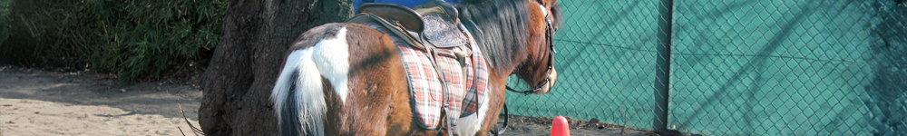 写真トップ　ホームで交錯