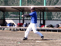 本ナベバッティング