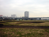 グラウンドから二子玉川駅方面を望む
