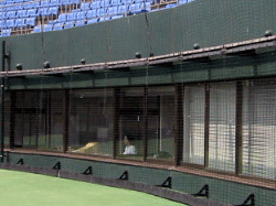 ネット裏オリマネージャー