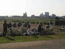 試合前の球場