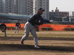 オウルズピッチャー