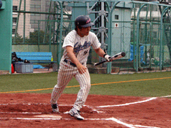 ブンアニバント