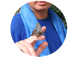 おまけ写真：コイチの手にとまったアゲハチョウ