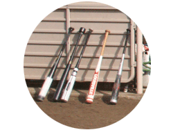 おまけ写真：ベンチに立て掛けられたバット5本