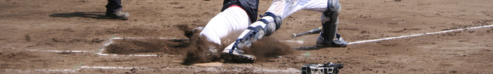 ホームクロスプレー