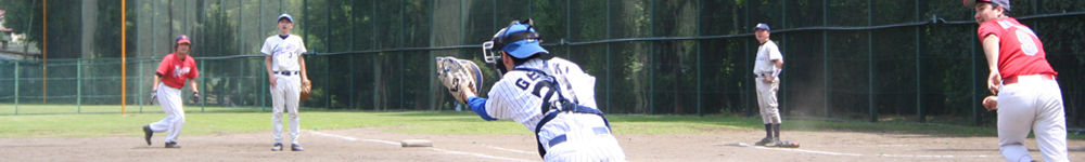 ホームクロスプレー