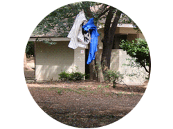 おまけ写真：木の枝に掛けられたタオル