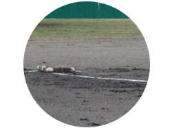 おまけ写真：抜かるんだ三塁