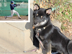 愛犬ペロォと左上に小さく打者アダッチの写真