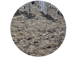 おまけ写真　抜かるんだグラウンド