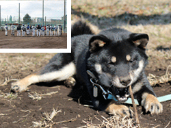 整列写真とペロォ