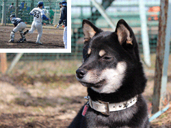 オサムの写真とペロォ
