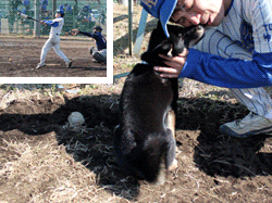 コイチの写真とペロォ