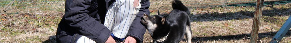 写真トップ　ユージと犬のペロォ