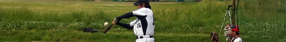 写真トップ　打者と打球