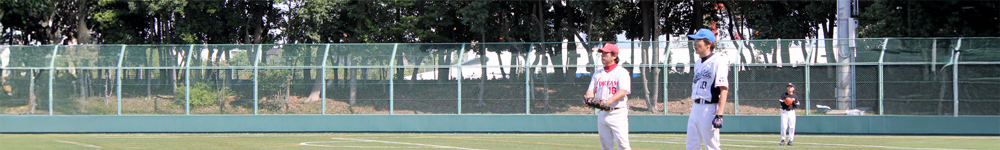 写真トップ林の向こうに新幹線