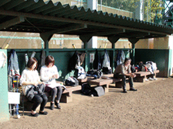 ベンチから見て一塁方向の写真２枚