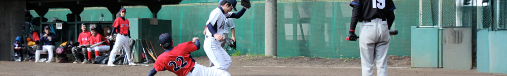 写真トップ林の向こうに新幹線