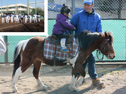 ホーム前とポニー